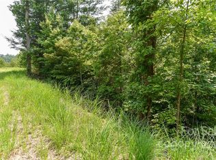 12 The Vines Blvd LOT 12, Marshall, NC 28753