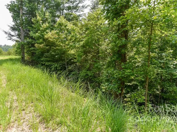 12 The Vines Blvd Lot 12, Marshall, NC 28753