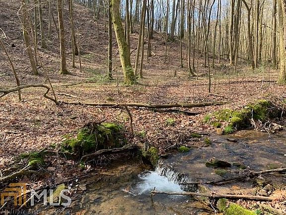 3rd image of 0 S Piney Spur Lot 2