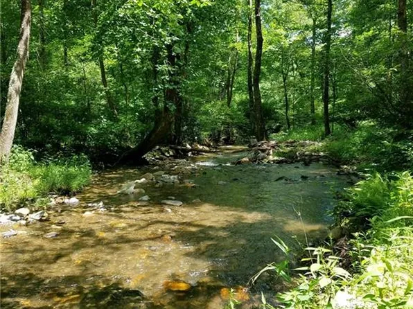 (undisclosed Address), Mc Grady, NC 28649