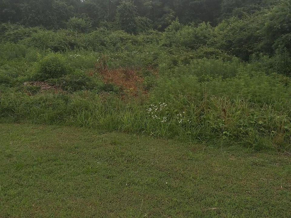 1st image of 0 Lewis Estates Ln Lot 2