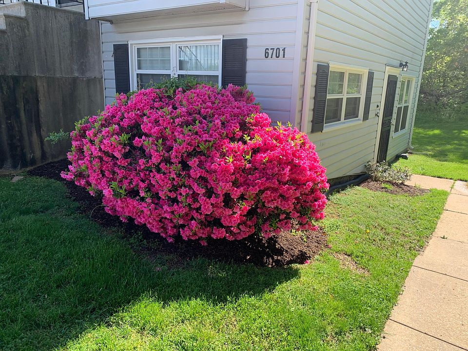 1st image of 6701 Milltown Ct #6711