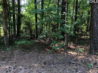 Cove Ln, Leesville, SC 29070