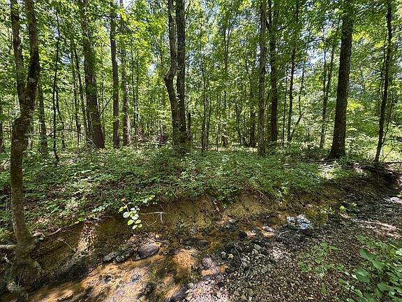 3rd image of 0 Highway 145 Tract #1