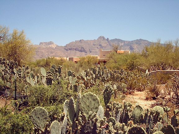 View of Catalinas
