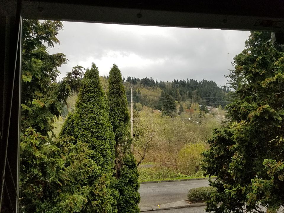 Living room window view