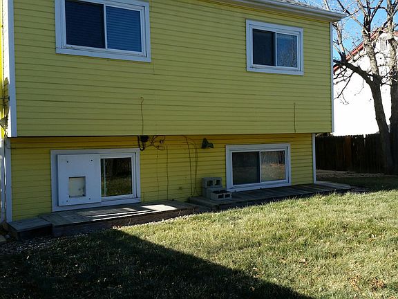 Dog door, DirecTV dish