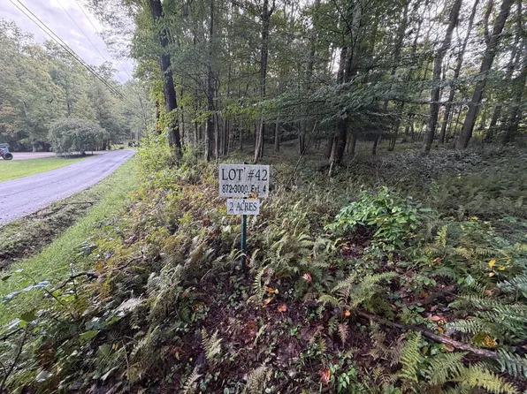 LOT 42 Bright Pond Rd, Summersville, WV 26651
