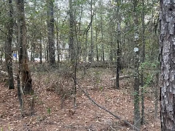 0 Stagecoach Cir, Huntsville, TX 77340