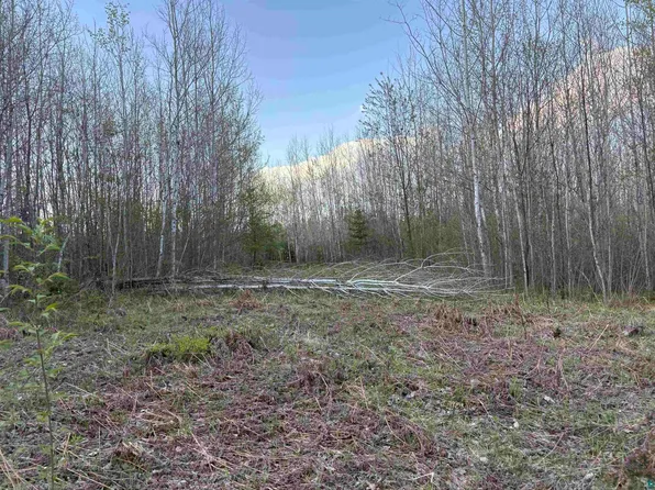 0 Mertig Rd, Glidden, WI 54527