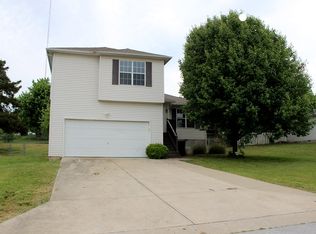 115 Stacy St, Branson, MO 65616