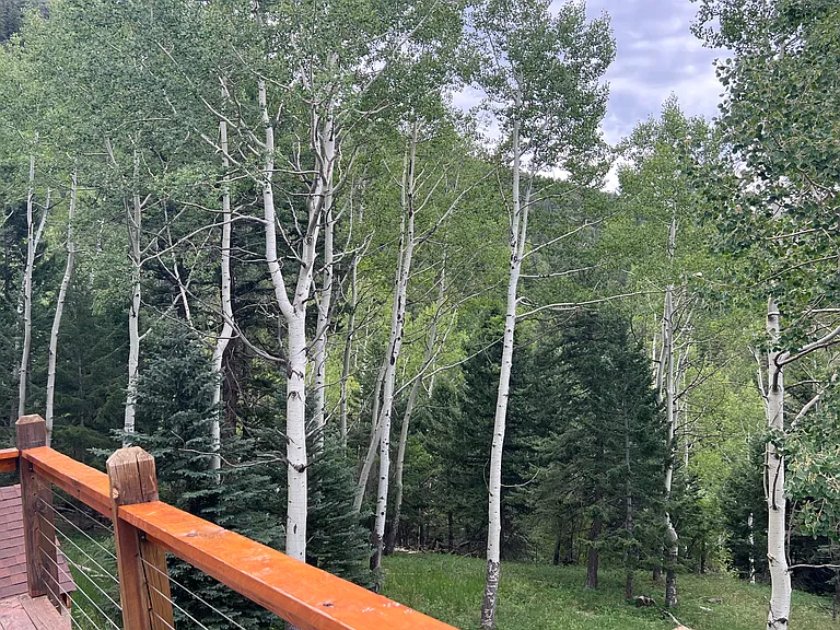 Snyder Mountain Rd — Photo 25