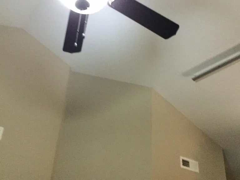 Vaulted Ceilings