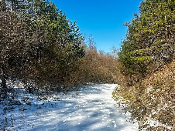 5th image of 0 Loar St