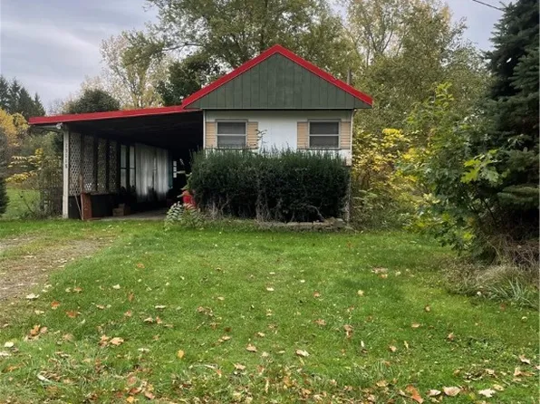 13118 Hanlon Rd, Albion, NY 14411