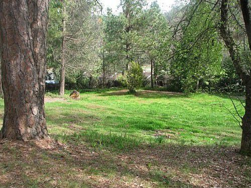 2nd image of 125 Pine Wood Way