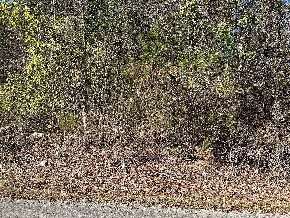 2nd image of 0 Cave Hollow Rd