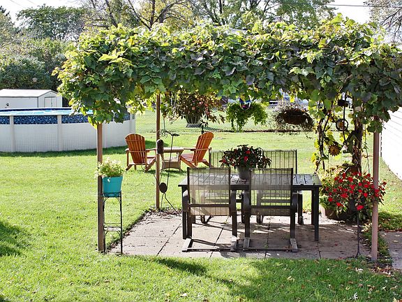Backyard, looking from house