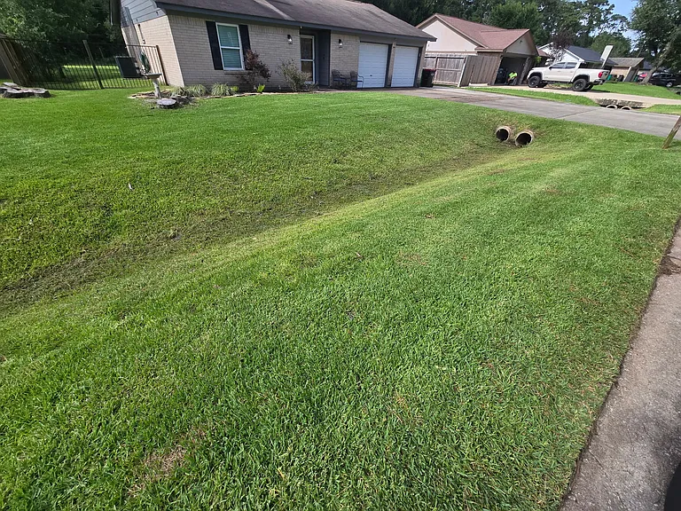 9819 Forest Hollow Dr — Photo 2