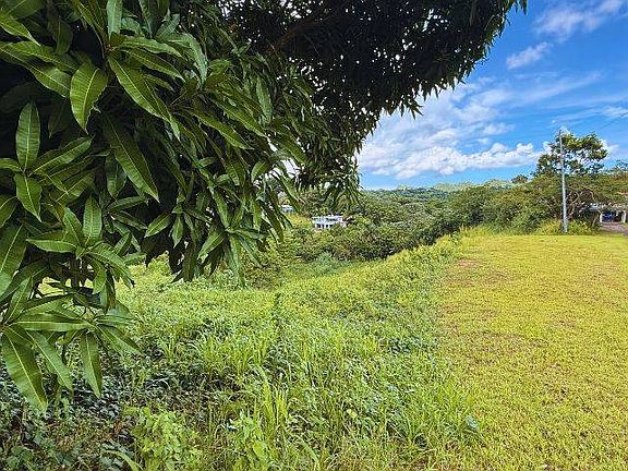 3rd image of Dos Bocas