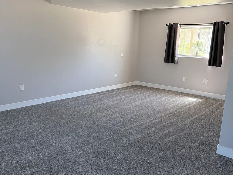 Downstairs family room with additional storage under the stairs and a hallway closet.