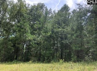 Old Sandy Run Rd, Gaston, SC 29053