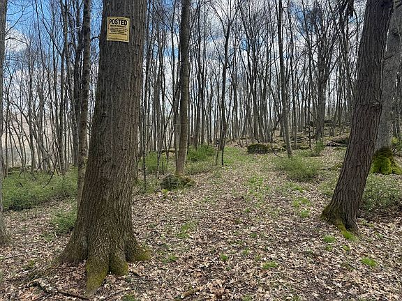 4th image of 0 Dennison Run Rd