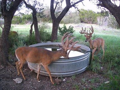 290 Dominion Rd, Mountain Home, TX, 78058