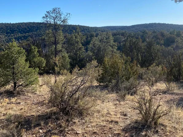 51804 N Cordero Rd, Seligman, AZ 86337