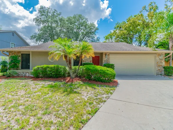 13716 Old Farm Dr, Tampa, FL 33625