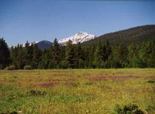 255 Moose Run Ln #5002, Fraser, CO 80442