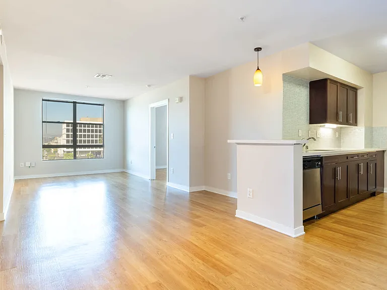 Kitchen and Living Room with Hard Surface Flooring