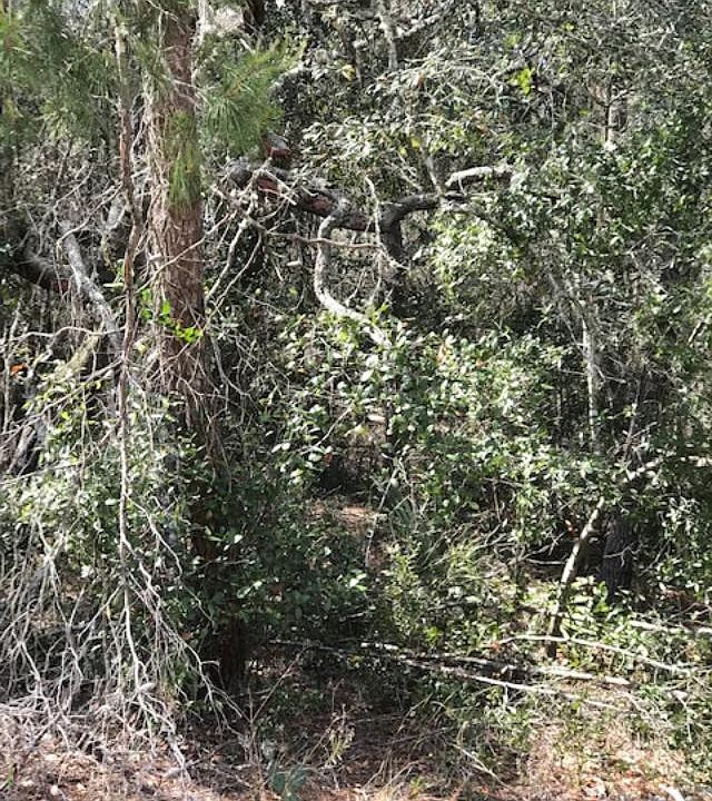 2nd image of 0 SW 108 Ln