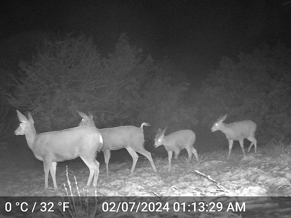4th image of 391 Juniper Ranch Road #109
