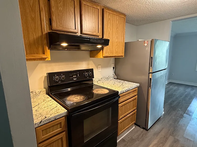 9732 Springfield Woods Cir — Photo 10