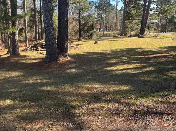 1106 Shivers Rd, Pinola, MS 39149