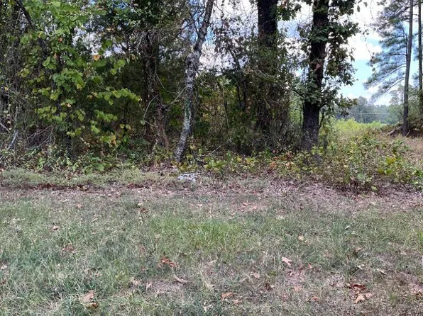 1512 Dallas 301, Carthage, AR 71725