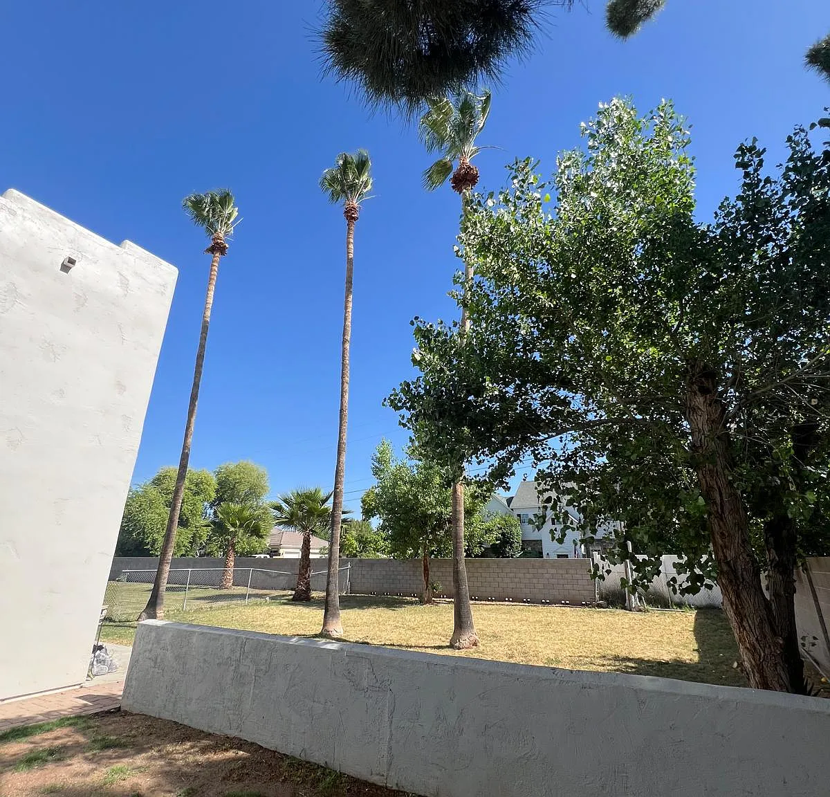 E Orchid Ln, Gilbert — Photo 3