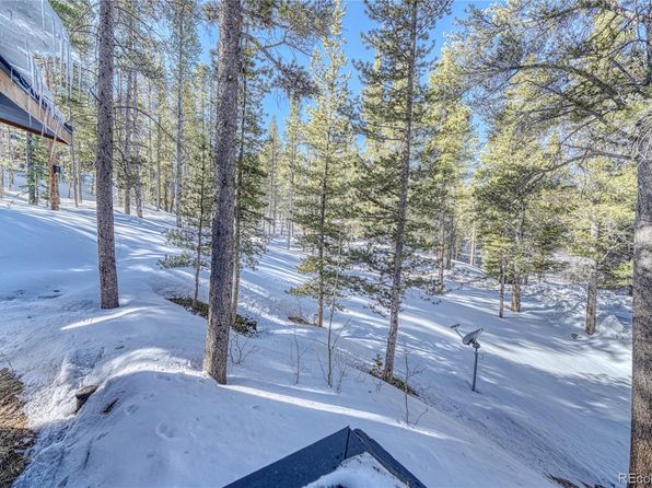 36 High Three Circle, Leadville, CO 80461