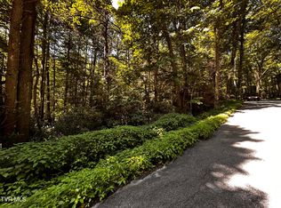 Tbd Viking Mountain Rd, Greeneville, TN 37743