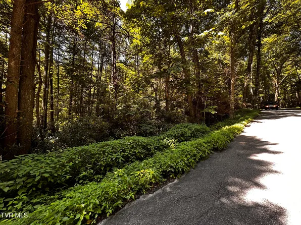 Tbd Viking Mountain Rd, Greeneville, TN 37743