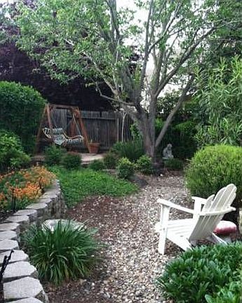 Beautiful Backyard