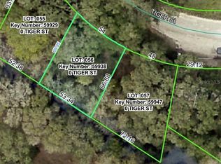 3217 Tiger St Lot 56, Dade City, FL 33523
