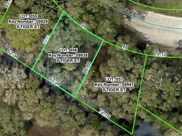 3217 Tiger St Lot 56, Dade City, FL 33523
