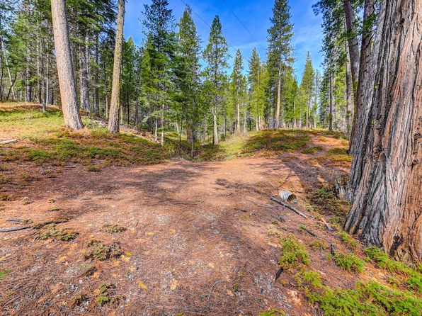 3488 Moran Rd #3184, Avery, CA 95224