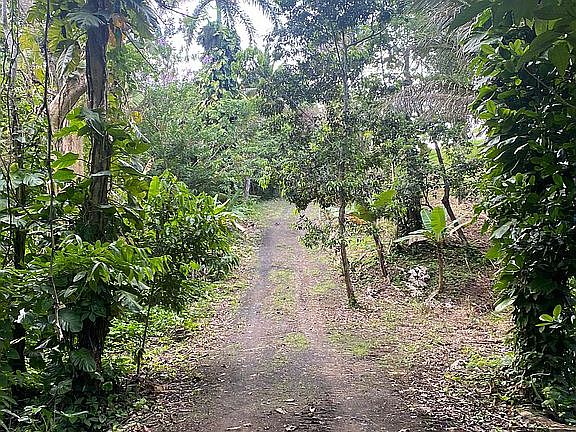 4th image of Haciendas Del Lago Carraizo Carr175 Ca 301 Solar 4