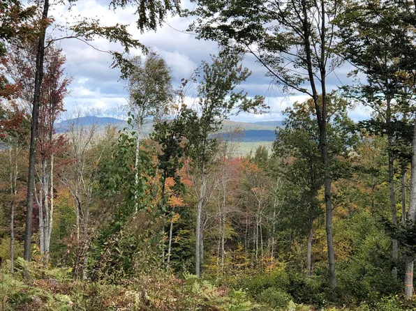 67 Dobbins Way, Alton, NH 03809