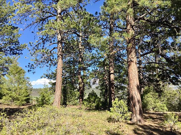 5th image of Tbd High Bluff Dr