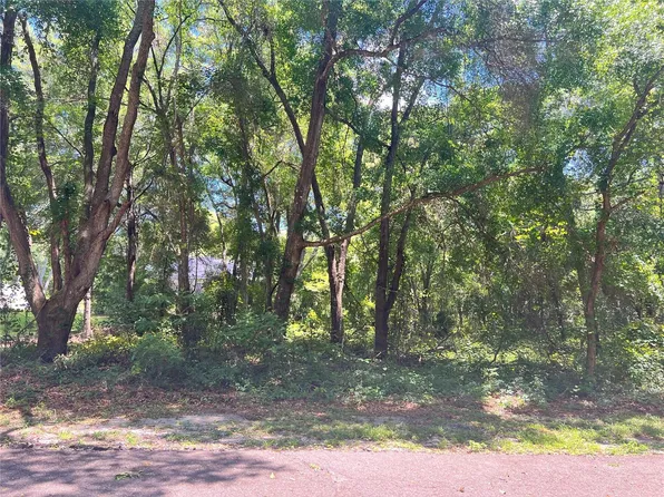 BAY PASS TER, OCKLAWAHA, FL 32179