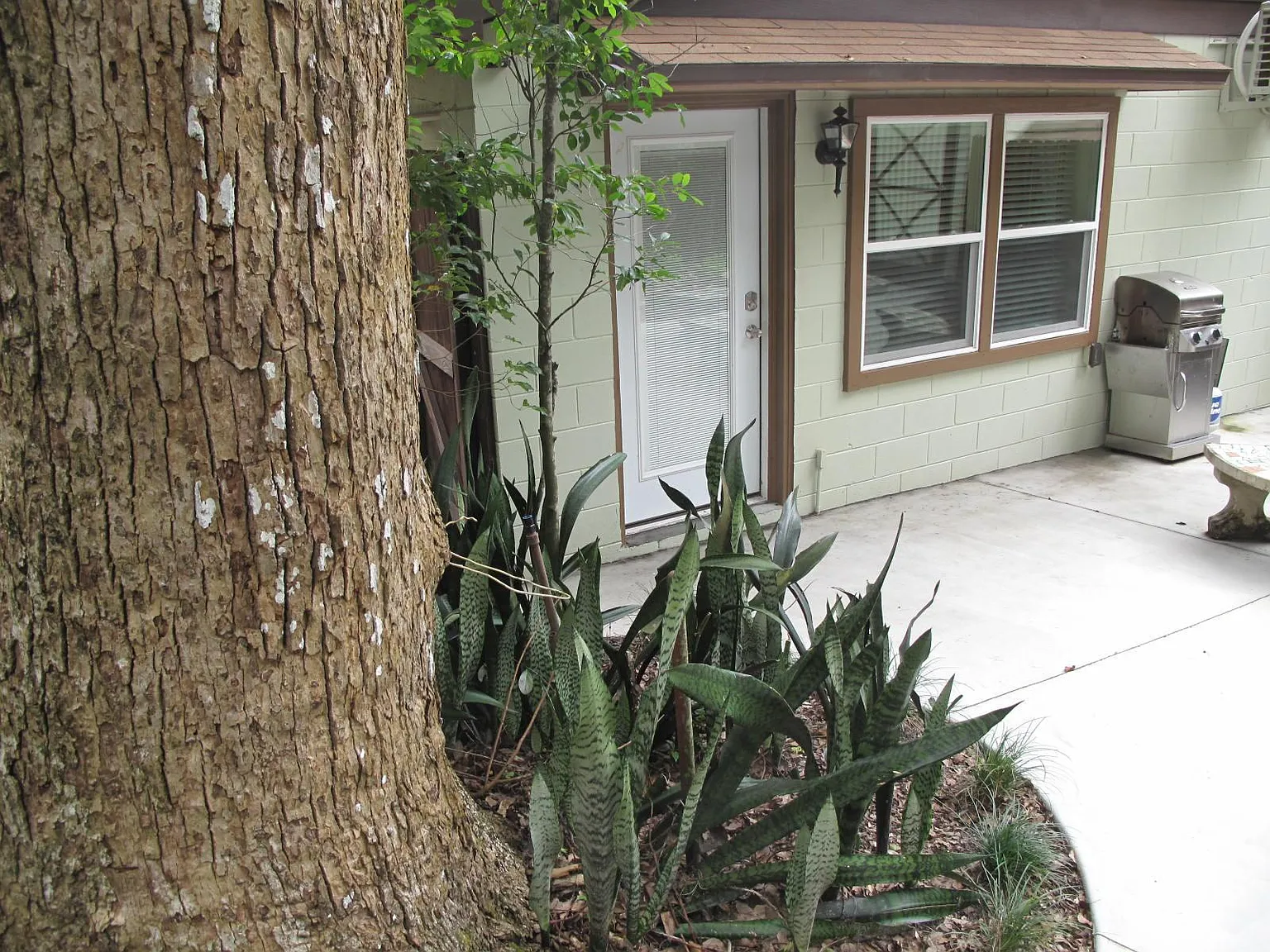 Studio, 500 sqft, $1,400 — Photo 1